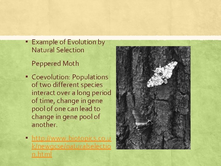 ▪ Example of Evolution by Natural Selection Peppered Moth ▪ Coevolution: Populations of two
