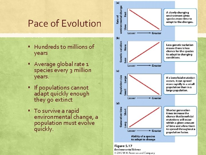 Pace of Evolution ▪ Hundreds to millions of years ▪ Average global rate 1