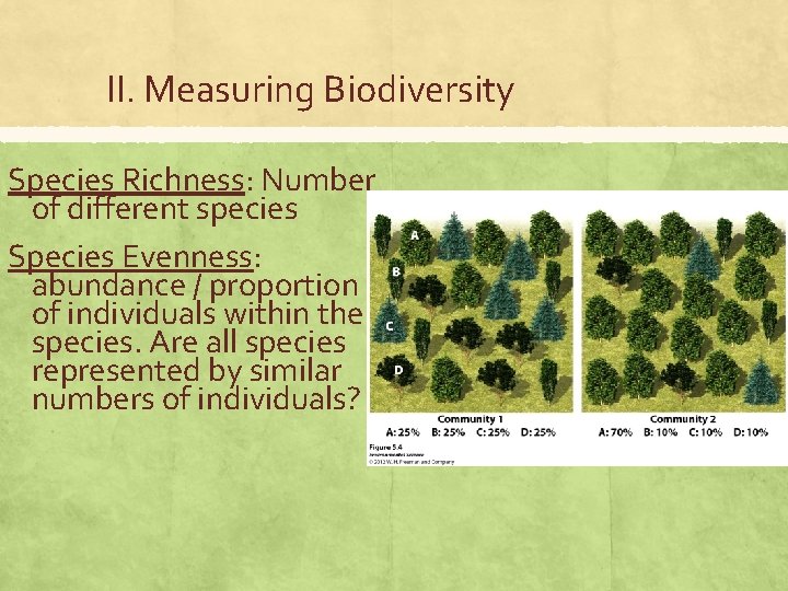 II. Measuring Biodiversity Species Richness: Number of different species Species Evenness: abundance / proportion