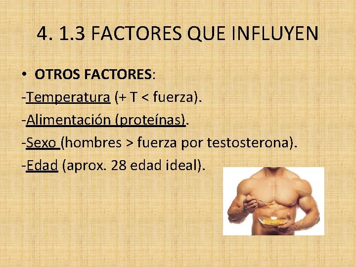 4. 1. 3 FACTORES QUE INFLUYEN • OTROS FACTORES: -Temperatura (+ T < fuerza).