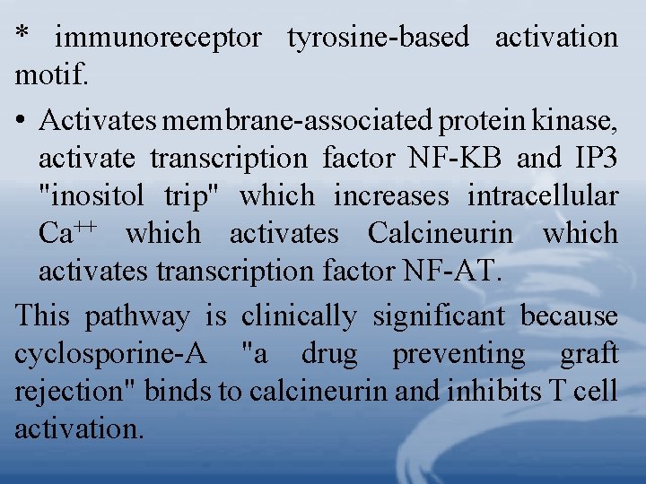 * immunoreceptor tyrosine-based activation motif. • Activates membrane-associated protein kinase, activate transcription factor NF-KB