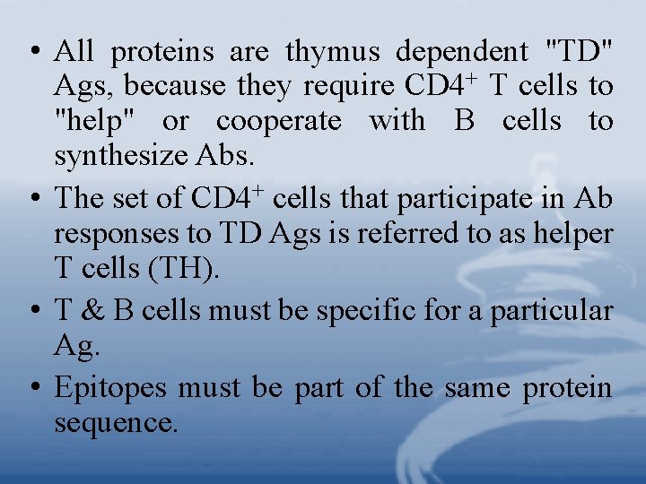  • All proteins are thymus dependent "TD" Ags, because they require CD 4+
