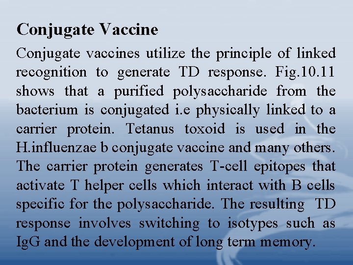 Conjugate Vaccine Conjugate vaccines utilize the principle of linked recognition to generate TD response.