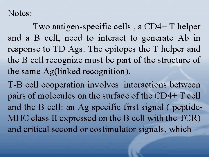 Notes: Two antigen-specific cells , a CD 4+ T helper and a B cell,