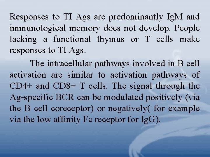 Responses to TI Ags are predominantly Ig. M and immunological memory does not develop.