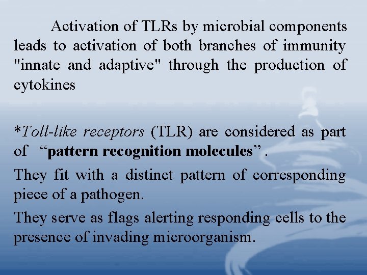 Activation of TLRs by microbial components leads to activation of both branches of immunity