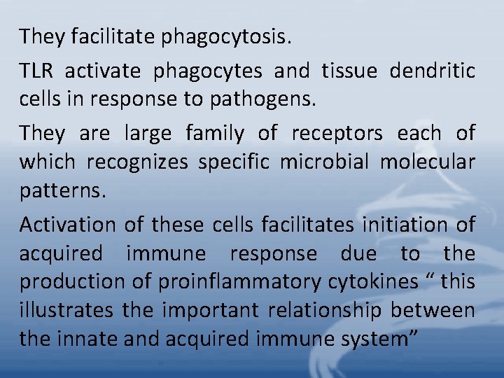 They facilitate phagocytosis. TLR activate phagocytes and tissue dendritic cells in response to pathogens.