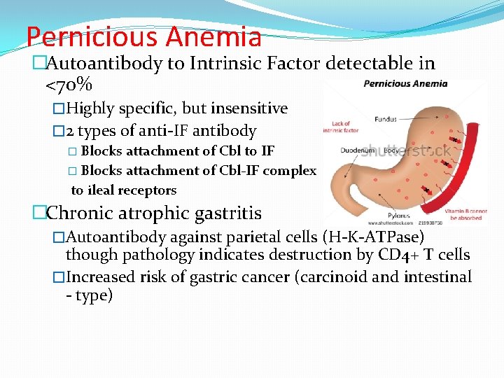 Pernicious Anemia �Autoantibody to Intrinsic Factor detectable in <70% �Highly specific, but insensitive �