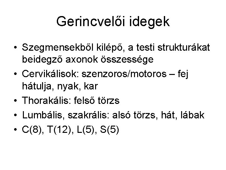 Gerincvelői idegek • Szegmensekből kilépő, a testi strukturákat beidegző axonok összessége • Cervikálisok: szenzoros/motoros