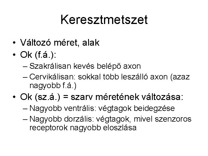 Keresztmetszet • Változó méret, alak • Ok (f. á. ): – Szakrálisan kevés belépő