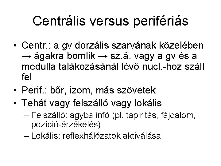 Centrális versus perifériás • Centr. : a gv dorzális szarvának közelében → ágakra bomlik