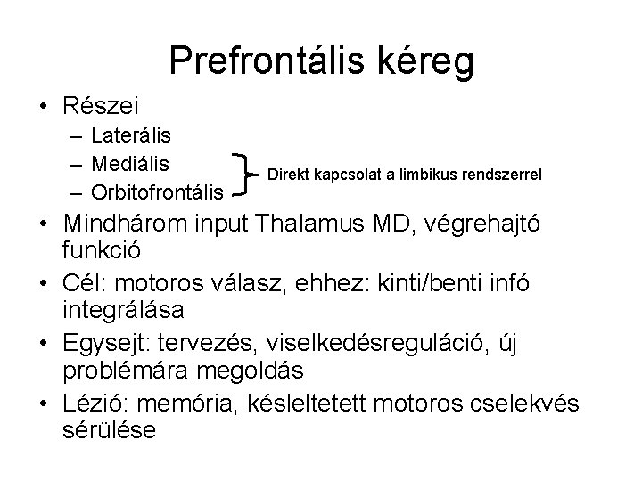 Prefrontális kéreg • Részei – Laterális – Mediális – Orbitofrontális Direkt kapcsolat a limbikus