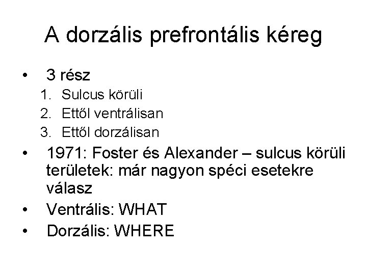 A dorzális prefrontális kéreg • 3 rész 1. Sulcus körüli 2. Ettől ventrálisan 3.