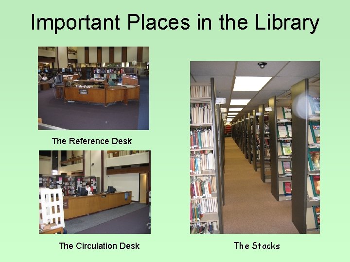 Important Places in the Library The Reference Desk The Circulation Desk The Stacks 