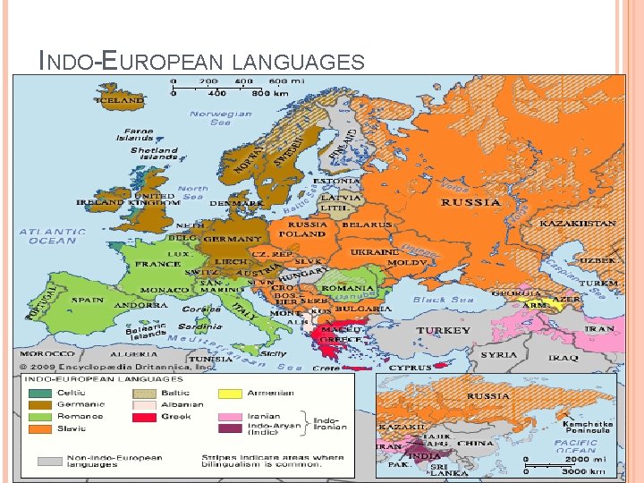 INDO-EUROPEAN LANGUAGES 