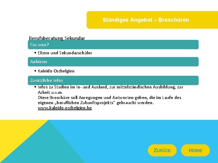 Ständiges Angebot – Broschüren Berufsberatung Sekundar Für wen? • Eltern und Sekundarschüler Anbieter •
