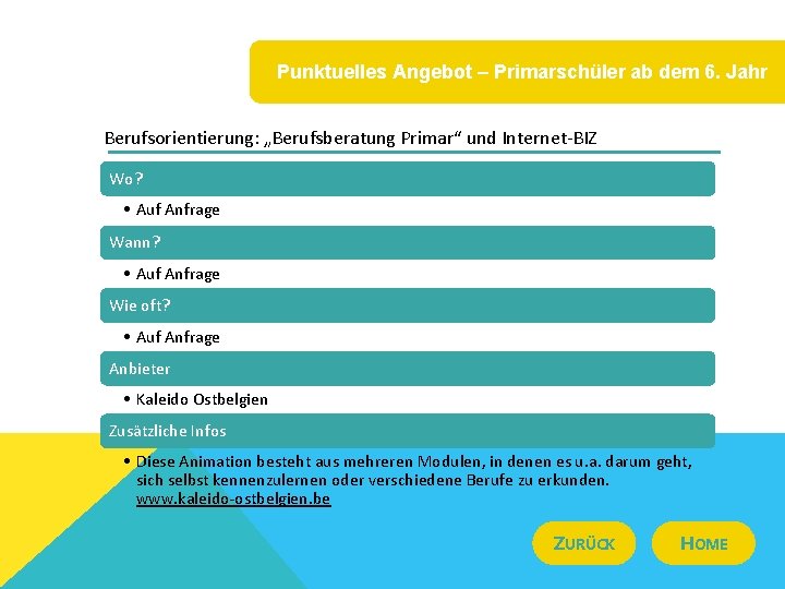 Punktuelles Angebot – Primarschüler ab dem 6. Jahr Berufsorientierung: „Berufsberatung Primar“ und Internet-BIZ Wo?