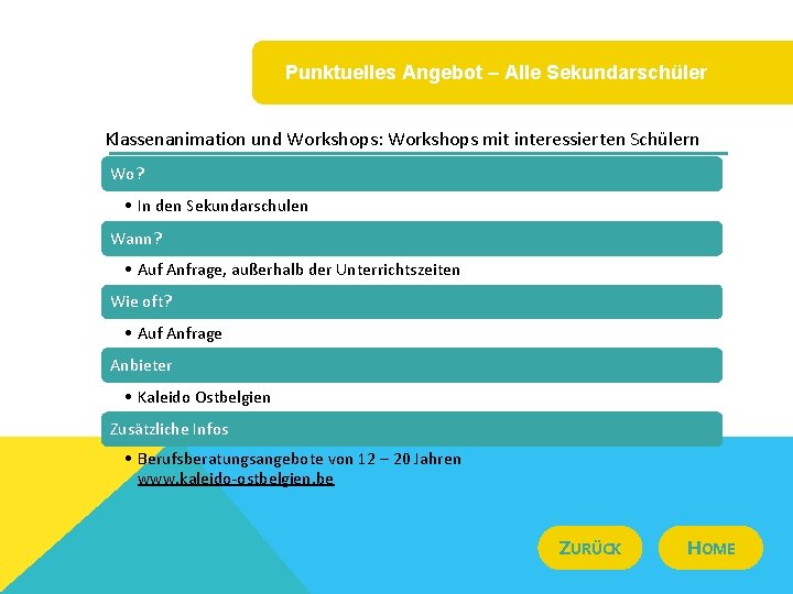 Punktuelles Angebot – Alle Sekundarschüler Klassenanimation und Workshops: Workshops mit interessierten Schülern Wo? •