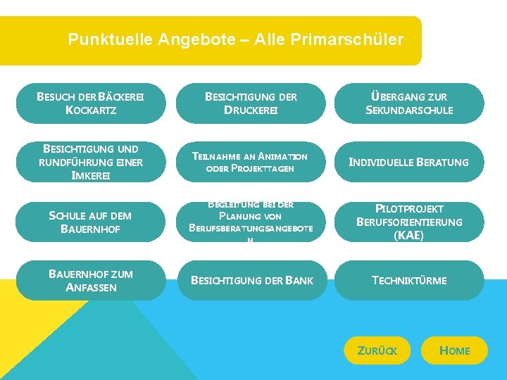 Punktuelle Angebote – Alle Primarschüler BESUCH DER BÄCKEREI KOCKARTZ BESICHTIGUNG UND RUNDFÜHRUNG EINER IMKEREI