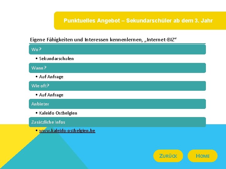 Punktuelles Angebot – Sekundarschüler ab dem 3. Jahr Eigene Fähigkeiten und Interessen kennenlernen, „Internet-BIZ“
