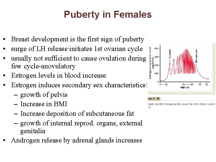 Puberty in Females • Breast development is the first sign of puberty • surge
