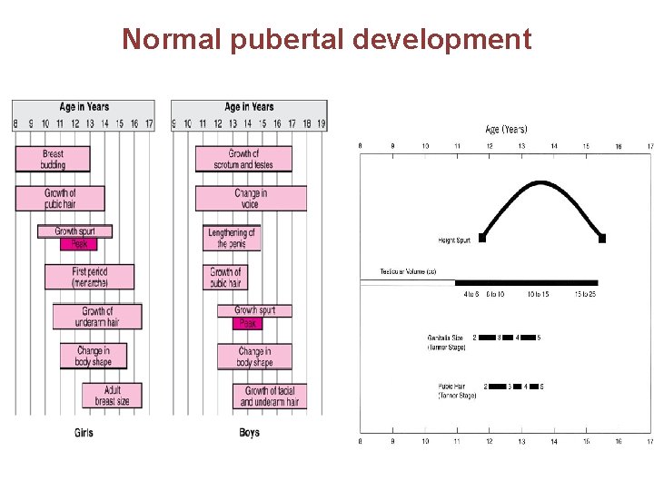 Normal pubertal development 