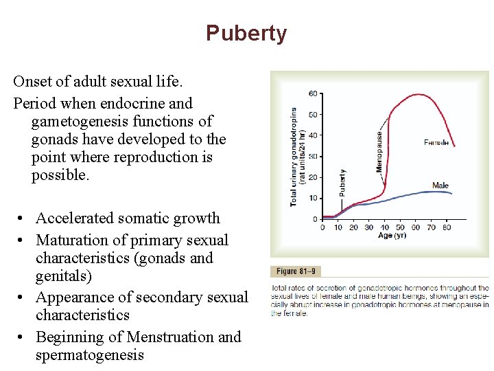 Puberty Onset of adult sexual life. Period when endocrine and gametogenesis functions of gonads