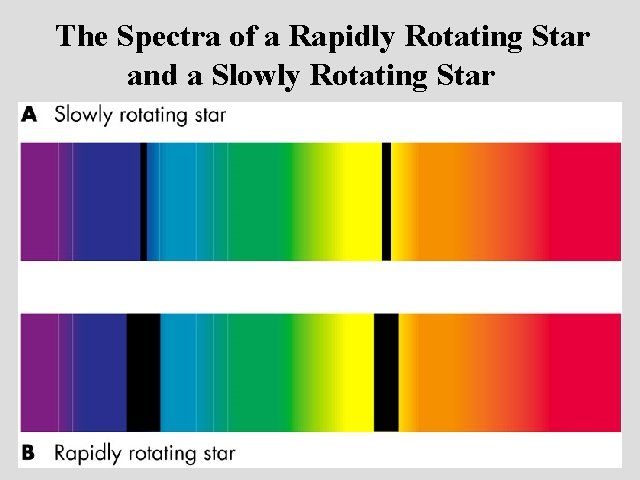 The Spectra of a Rapidly Rotating Star and a Slowly Rotating Star 
