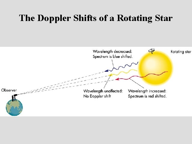 The Doppler Shifts of a Rotating Star 
