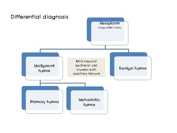 Differential diagnosis Neoplasm Lung mass 1. 2 cm Malignant tumor Primary tumor Mild atypical