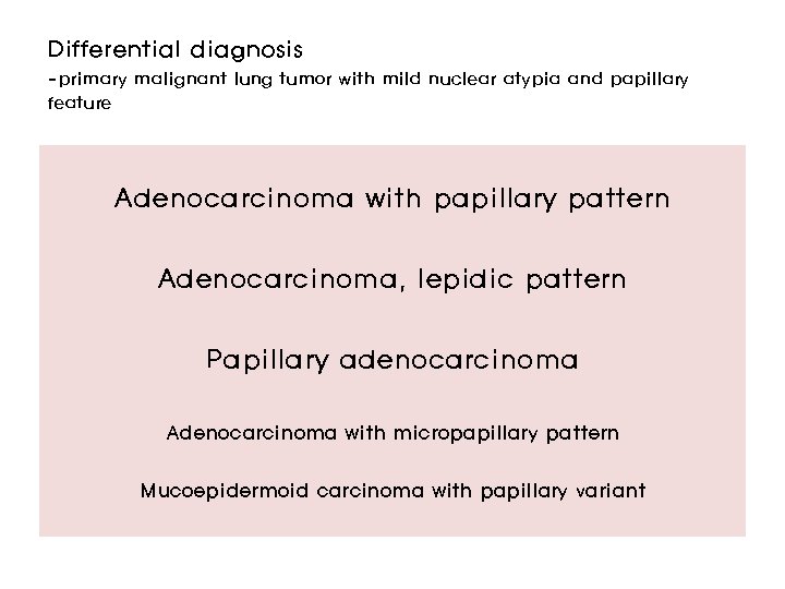 Differential diagnosis -primary malignant lung tumor with mild nuclear atypia and papillary feature Adenocarcinoma