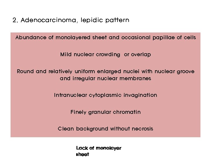 2. Adenocarcinoma, lepidic pattern Abundance of monolayered sheet and occasional papillae of cells Mild