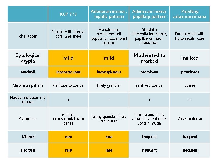 KCP 773 character Papillae with fibrous core and sheet Adenocarcinoma , lepidic pattern Adenocarcinoma,