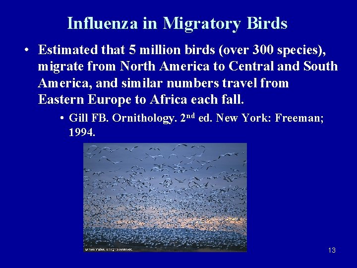 Influenza in Migratory Birds • Estimated that 5 million birds (over 300 species), migrate