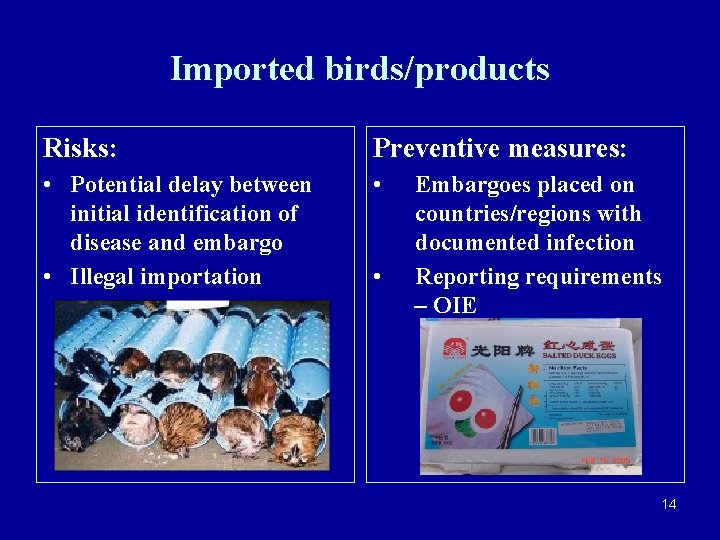 Imported birds/products Risks: Preventive measures: • Potential delay between initial identification of disease and