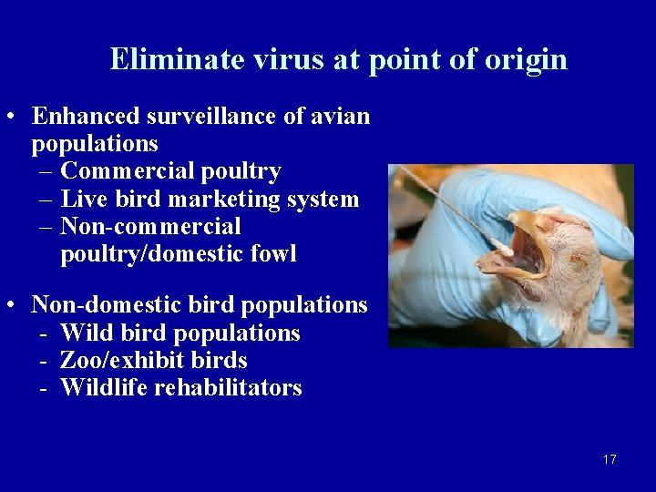 Eliminate virus at point of origin • Enhanced surveillance of avian populations – Commercial
