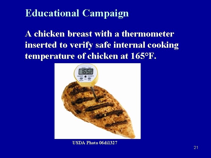 Educational Campaign A chicken breast with a thermometer inserted to verify safe internal cooking