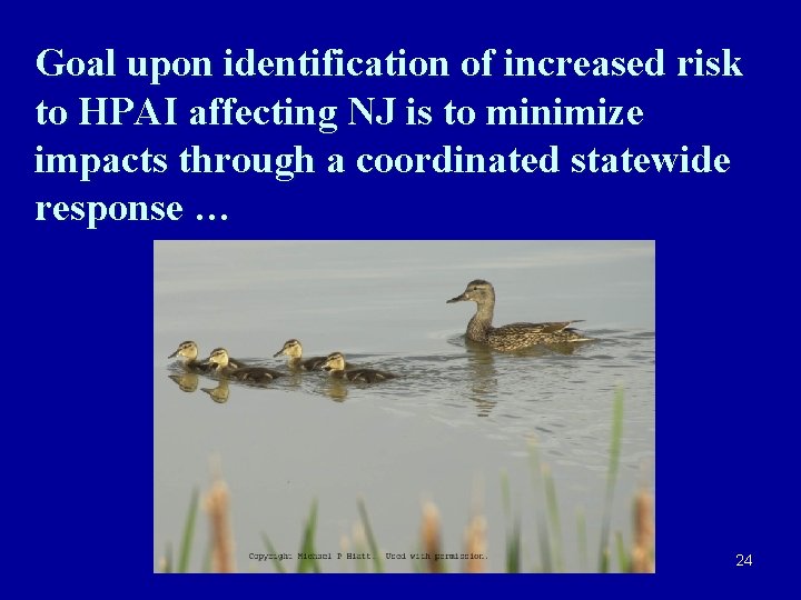 Goal upon identification of increased risk to HPAI affecting NJ is to minimize impacts