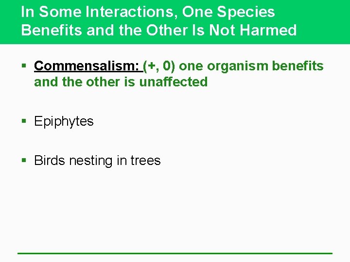 In Some Interactions, One Species Benefits and the Other Is Not Harmed § Commensalism: