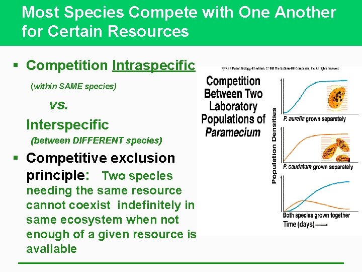 Most Species Compete with One Another for Certain Resources § Competition Intraspecific (within SAME