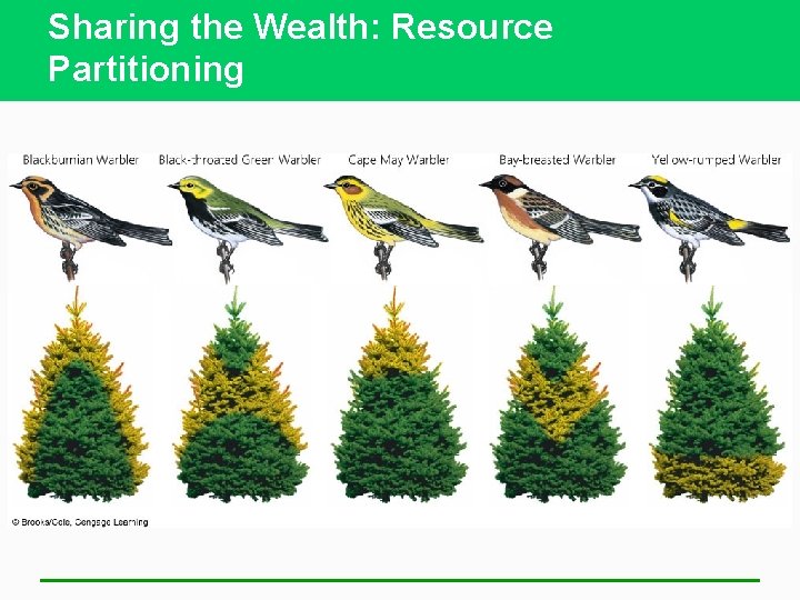 Sharing the Wealth: Resource Partitioning 