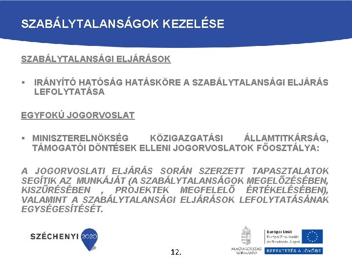 SZABÁLYTALANSÁGOK KEZELÉSE SZABÁLYTALANSÁGI ELJÁRÁSOK § IRÁNYÍTÓ HATÓSÁG HATÁSKÖRE A SZABÁLYTALANSÁGI ELJÁRÁS LEFOLYTATÁSA EGYFOKÚ JOGORVOSLAT