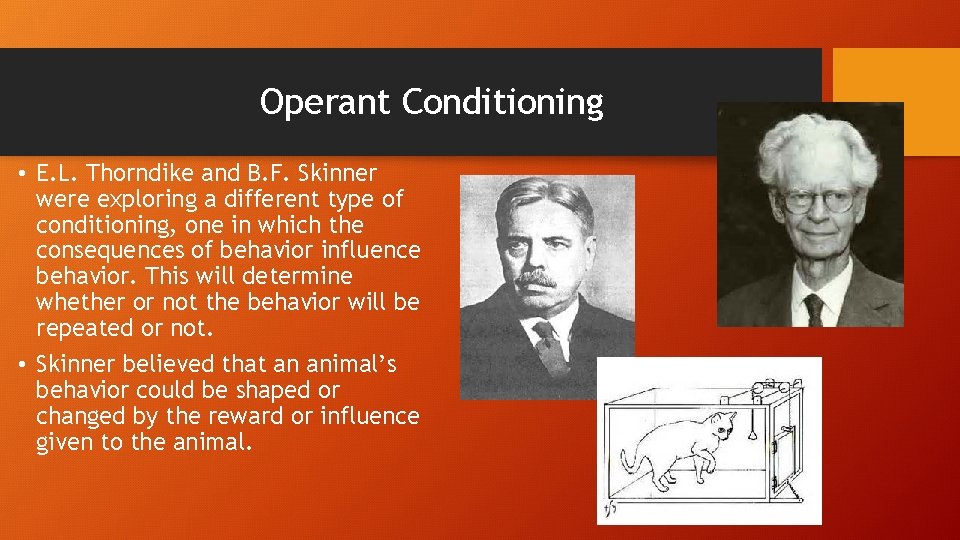 Operant Conditioning • E. L. Thorndike and B. F. Skinner were exploring a different