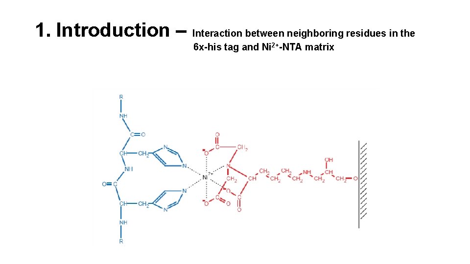 1. Introduction – Interaction between neighboring residues in the 6 x-his tag and Ni