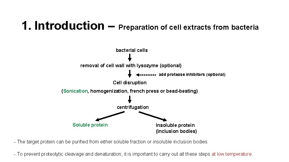 1. Introduction – Preparation of cell extracts from bacterial cells removal of cell wall