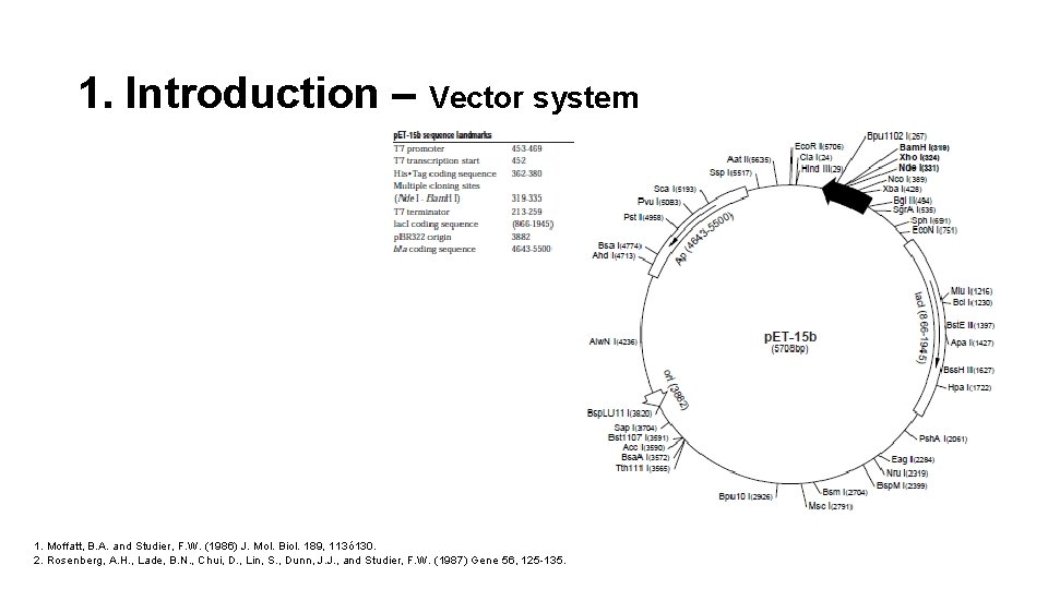 1. Introduction – Vector system 1. Moffatt, B. A. and Studier, F. W. (1986)