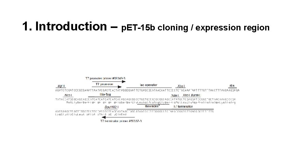 1. Introduction – p. ET-15 b cloning / expression region 