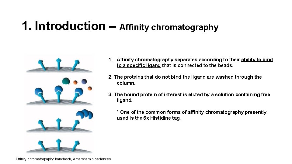 1. Introduction – Affinity chromatography 1. Affinity chromatography separates according to their ability to