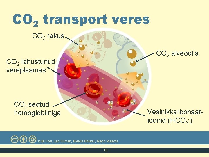 CO 2 transport veres CO 2 rakus CO 2 alveoolis CO 2 lahustunud vereplasmas