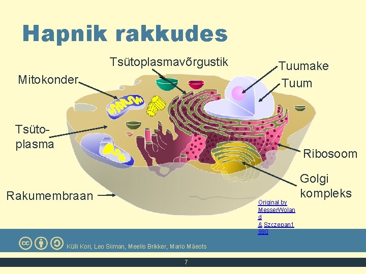 Hapnik rakkudes Tsütoplasmavõrgustik Mitokonder Tuumake Tuum Tsütoplasma Ribosoom Rakumembraan Original by Messer. Wolan d